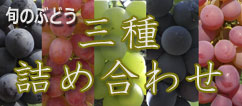 山梨のぶどう詰め合わせ 通販/販売
