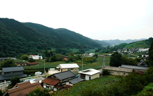 巨峰の郷、牧丘