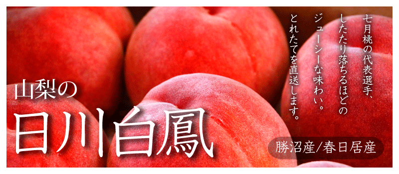 桃の通販/日川白鳳を産地直送！果物産直の山梨ふるーつ・ネット