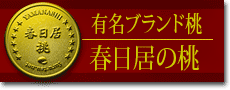 桃のブランド春日居の桃