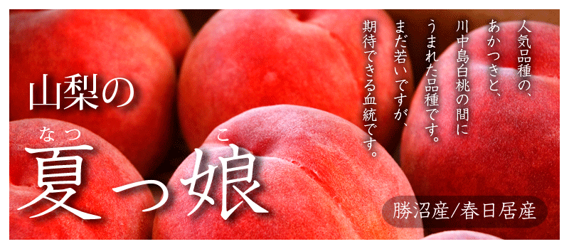 桃の通販/山梨のなつっこ【春日居の桃】果物産直の山梨ふるーつ・ネット