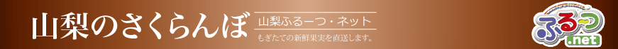 サクランボ通販・果物産直